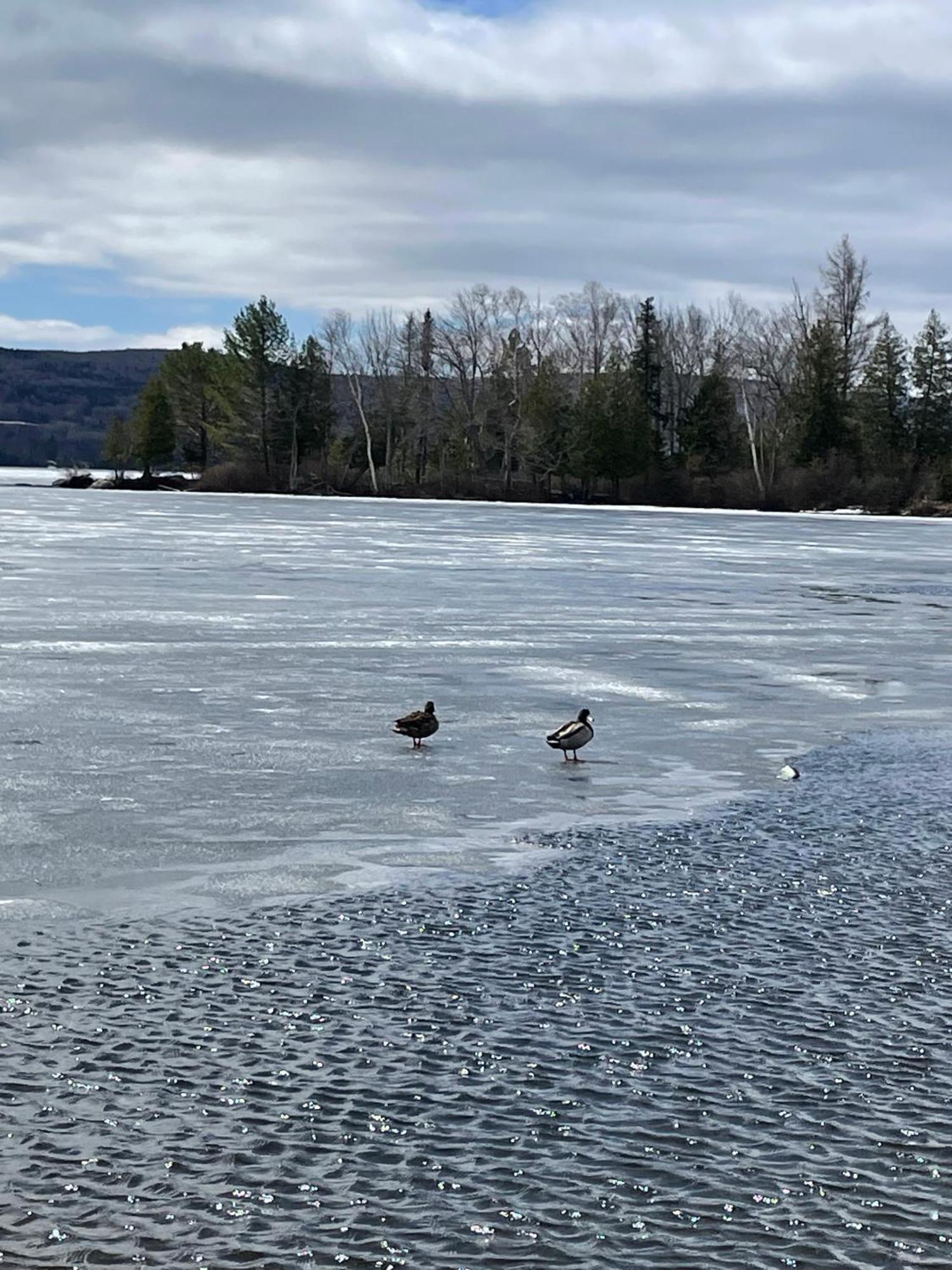 Rangeley Town & Lake Bagian luar foto